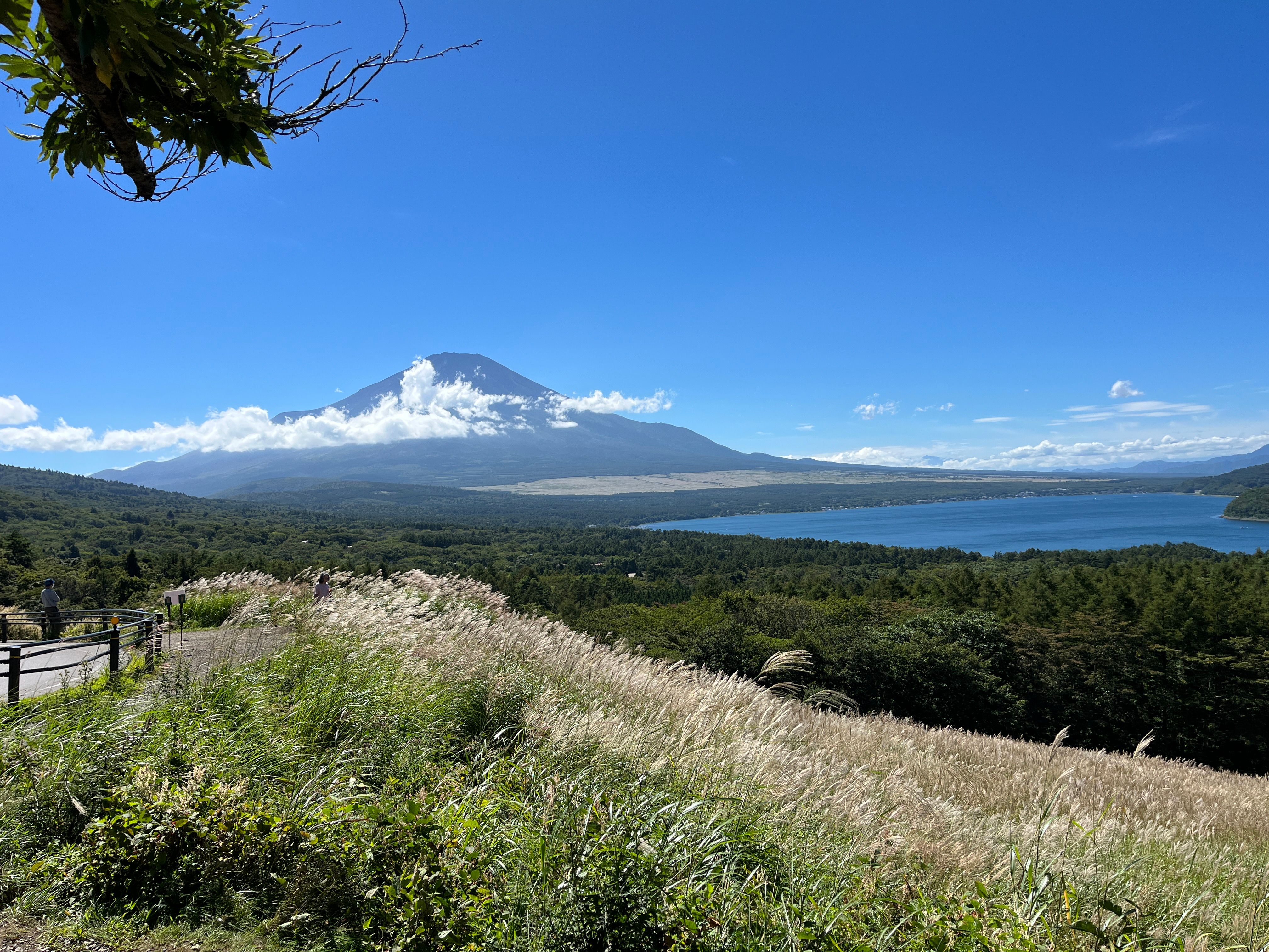 Featured image of the post